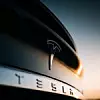 Tesla Logo