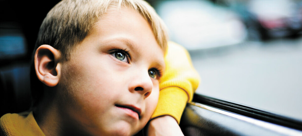 Neue Aptiv-Software checkt den Fahrzeug-Fond