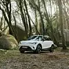 Smart #1 im Wald